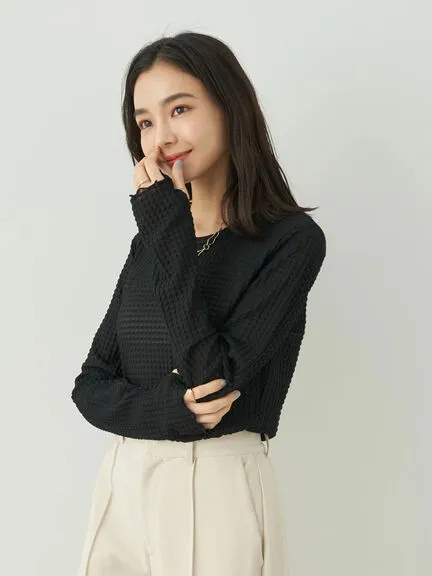 Avege Sheer Crew Neck Pullover