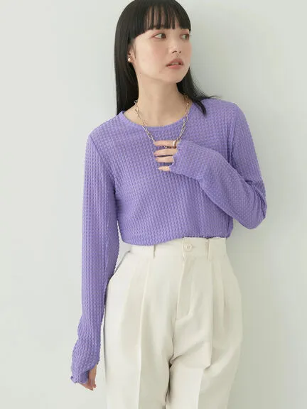 Avege Sheer Crew Neck Pullover