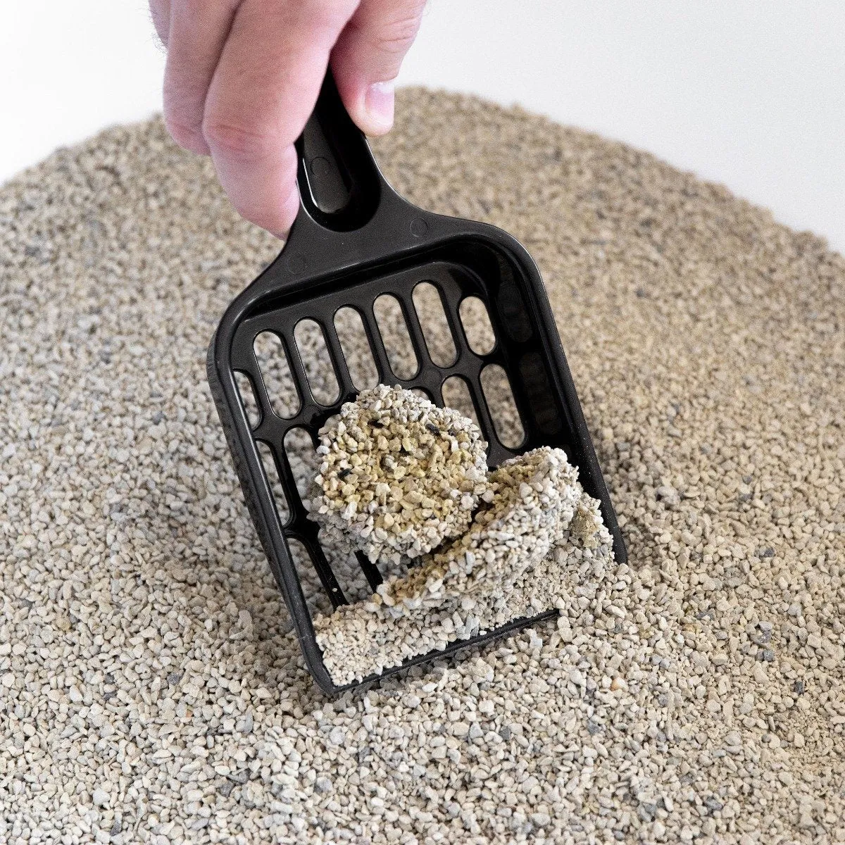 Large Rimmed Litter Pan